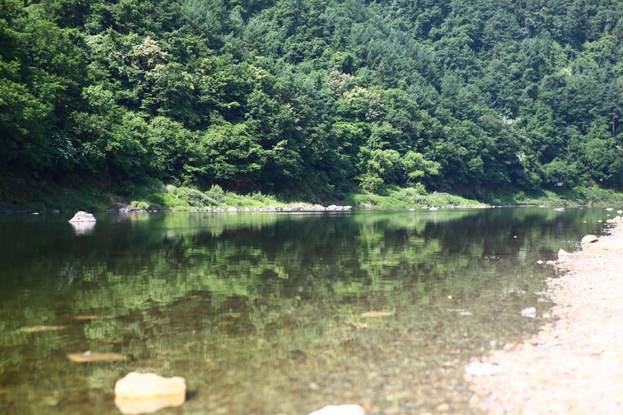 IMG_2951.jpg